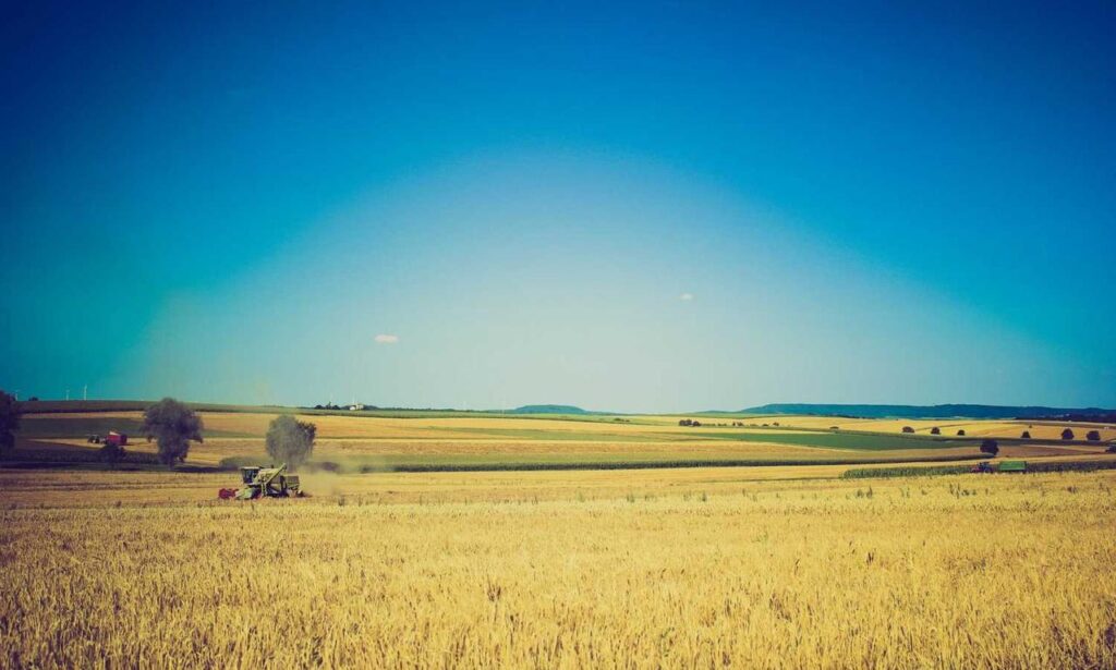 athletic meal twspoondietary