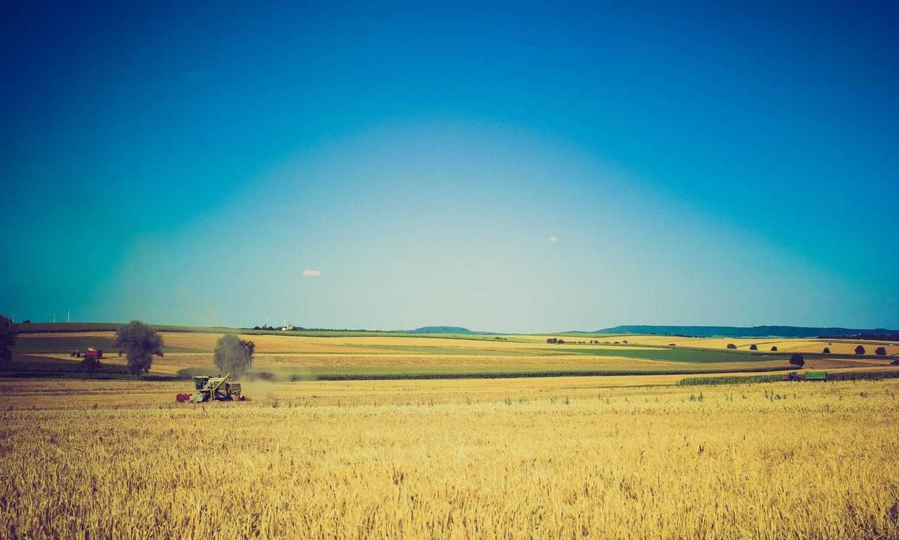 athletic meal twspoondietary