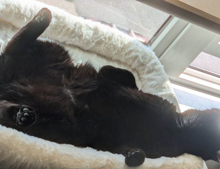 fitness nutrition twspoondietary