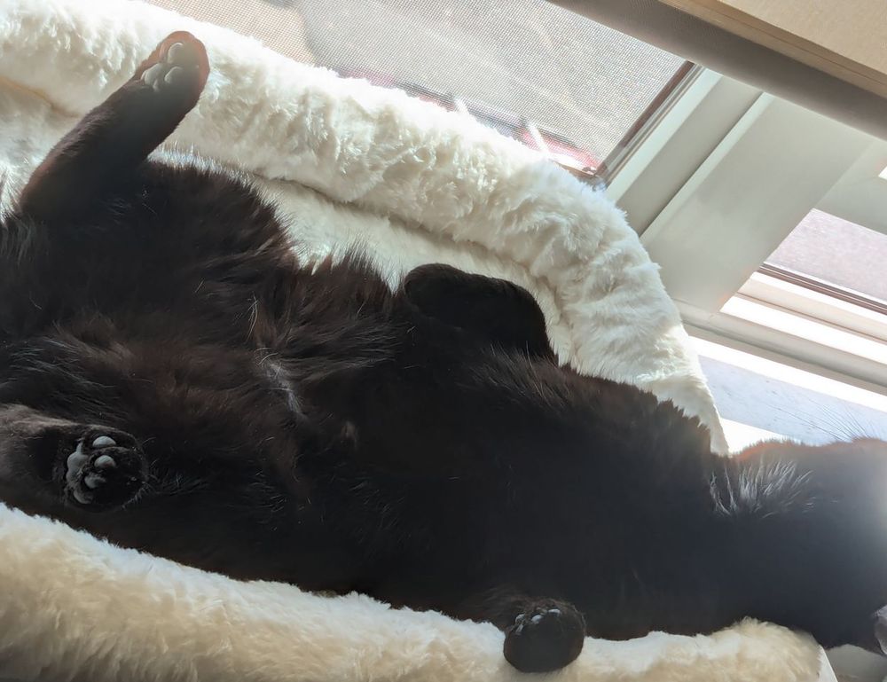 fitness nutrition twspoondietary