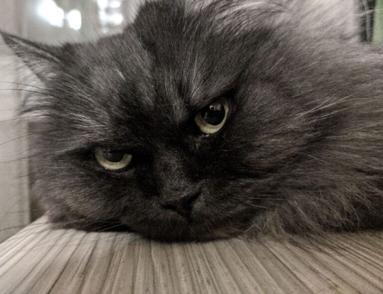 fitness tips lwspeakfit