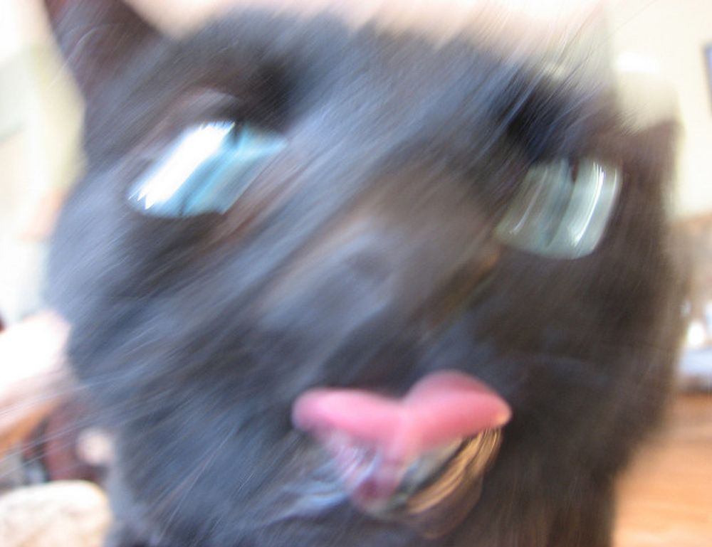 hacks twspoondietary