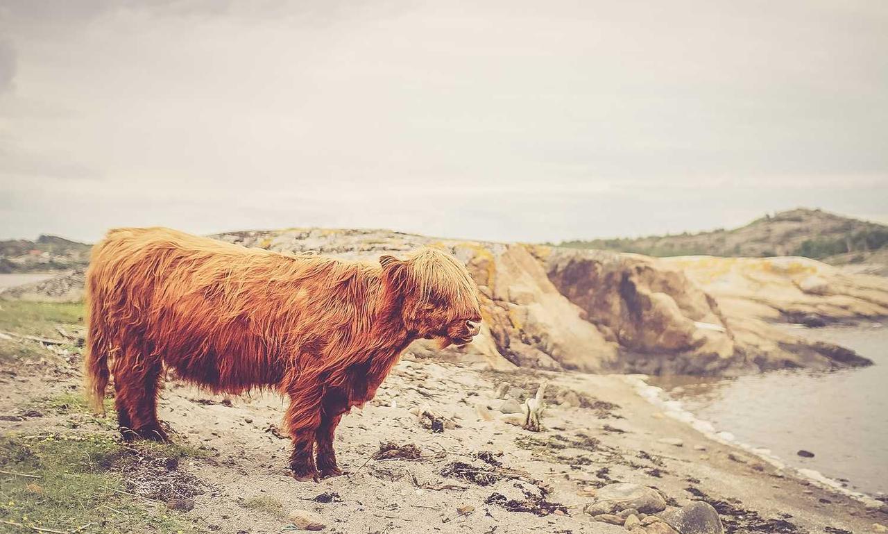 how medicine is made shmgmedicine