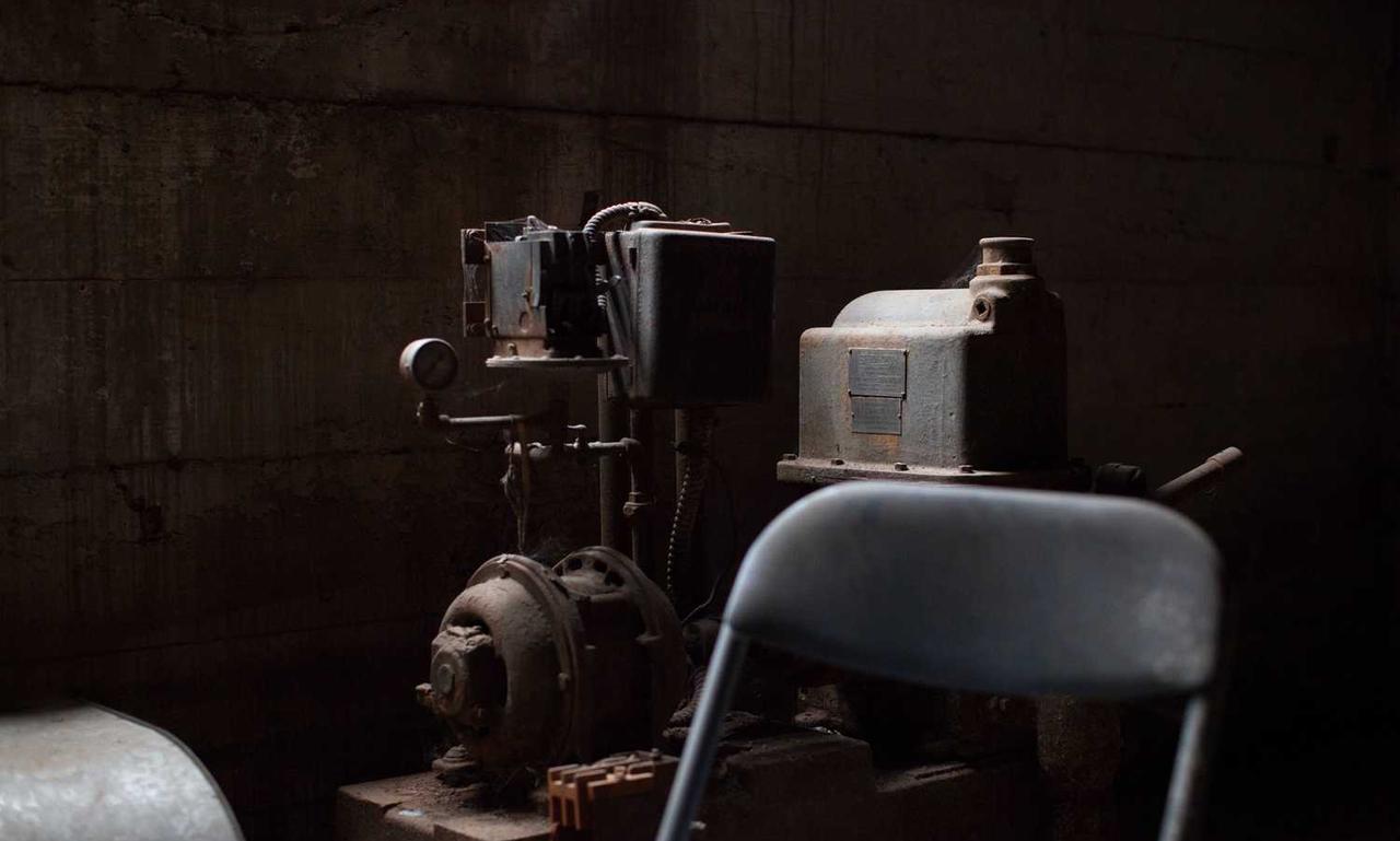 how to cure cotaldihydo disease