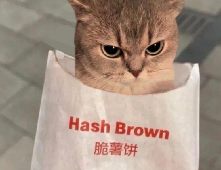 lwspeakfit fitness guide by letwomeanspeak