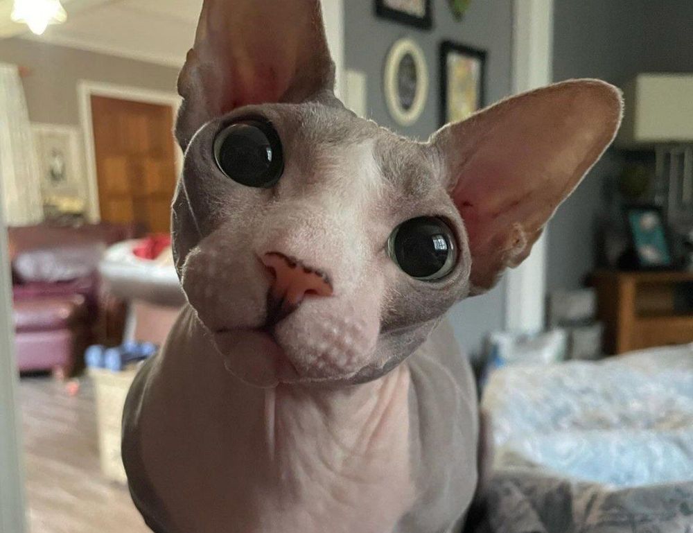 lwspeakfit weight loss guide from letwomeanspeak