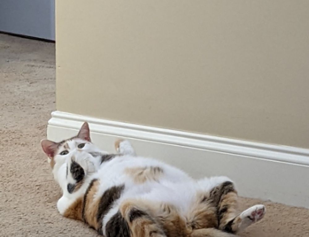 medicine facts shmgmedicine