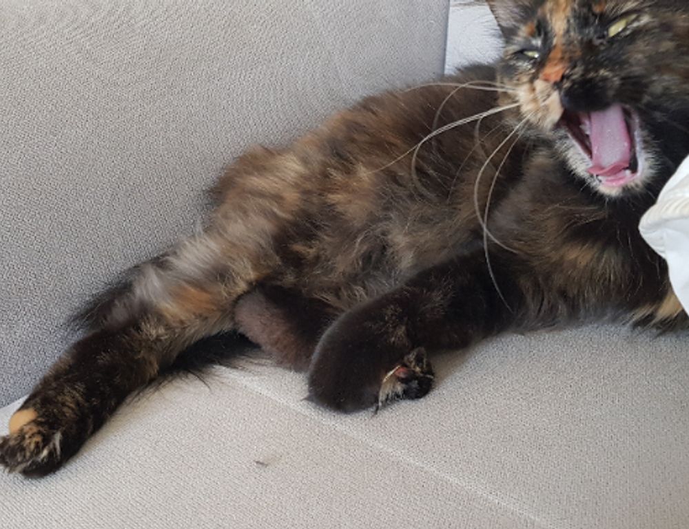 shmgmedicine medicine facts by springhillmedgroup