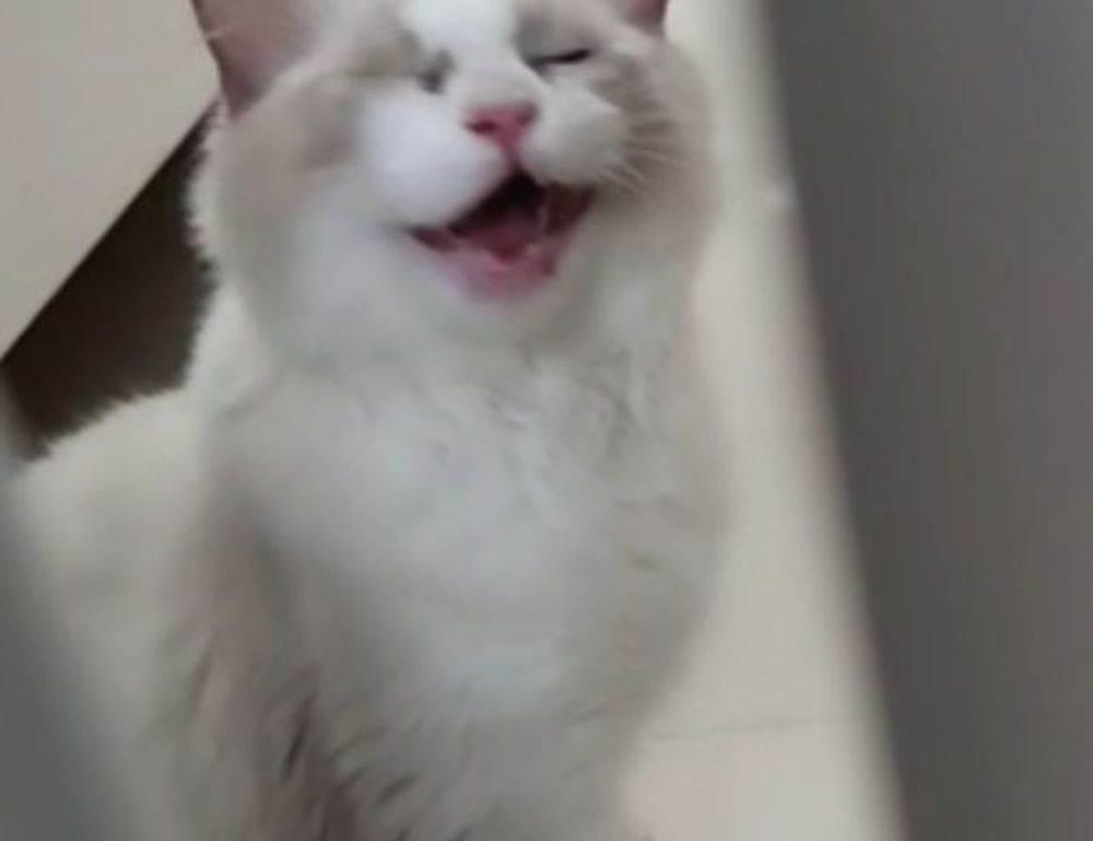 what medicine contains caffeine shmgmedicine