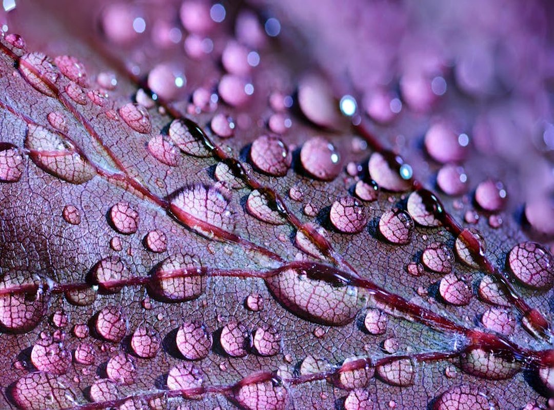 Jalbitehealth Guides