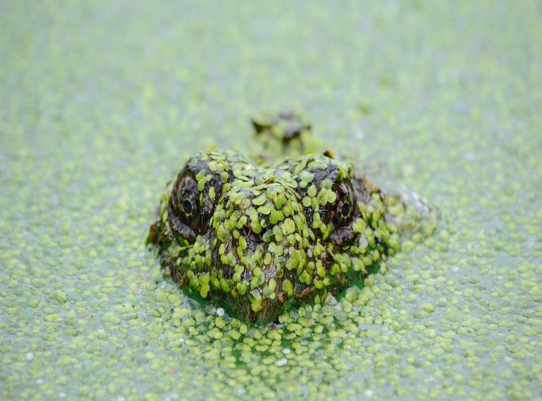 Real-World Examples: What 2,000 UF Represents in Chile