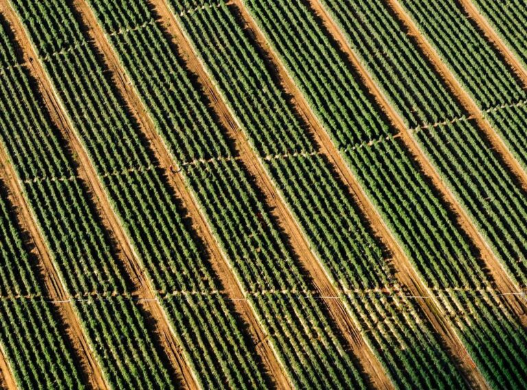 500 uf a pesos chilenos