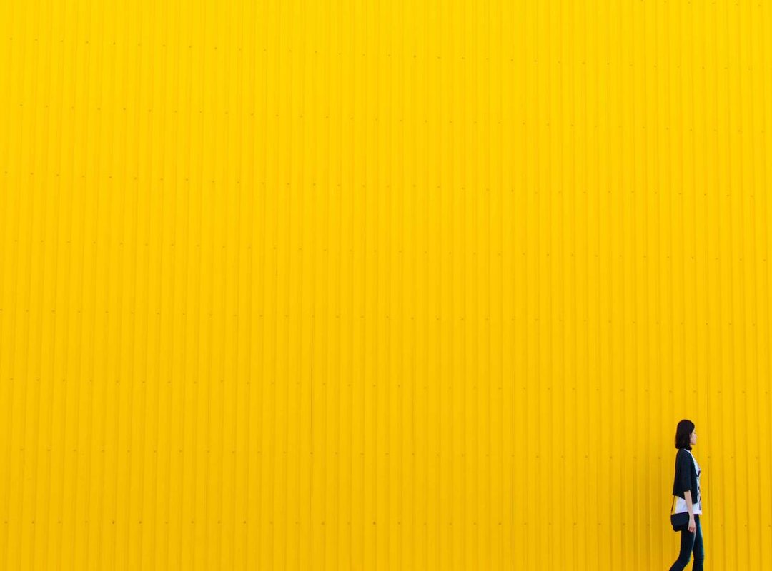 Player Spotlight: The Stars Who Actually Shone