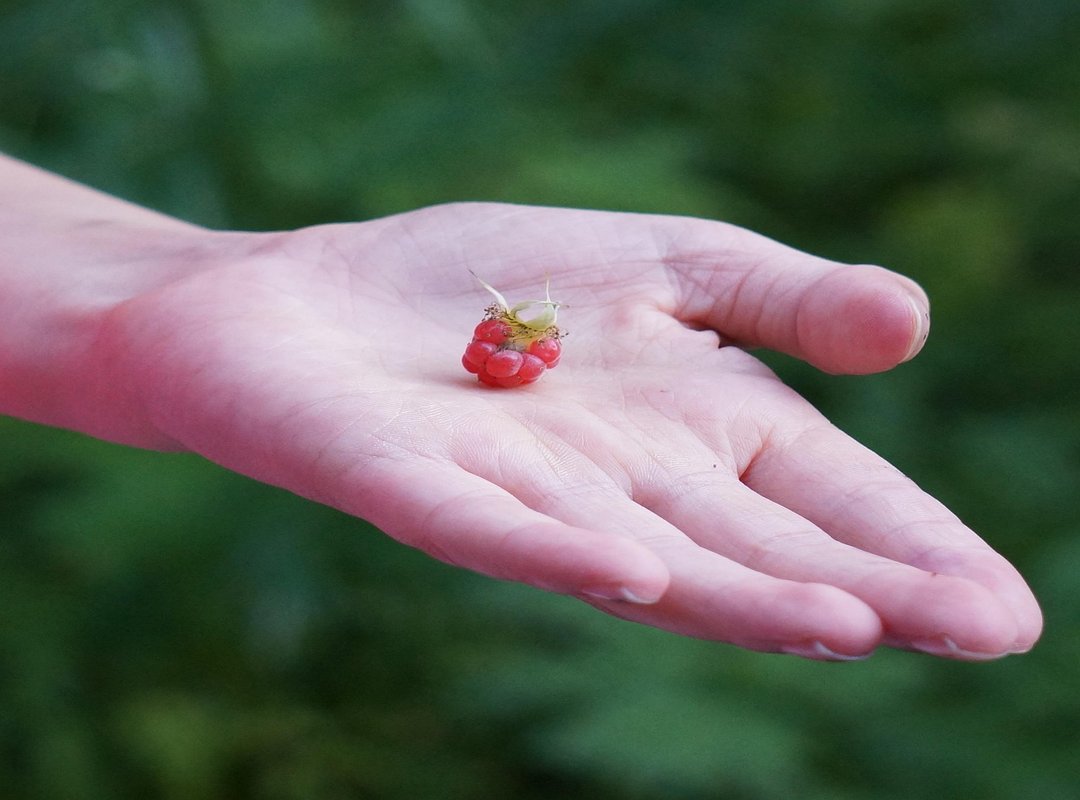 Understanding the Unique Flavor You're Replacing