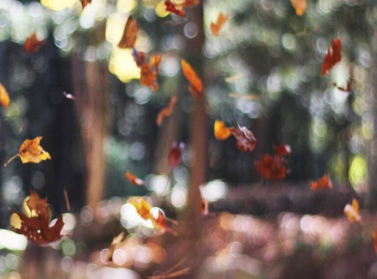 analise milton instagram