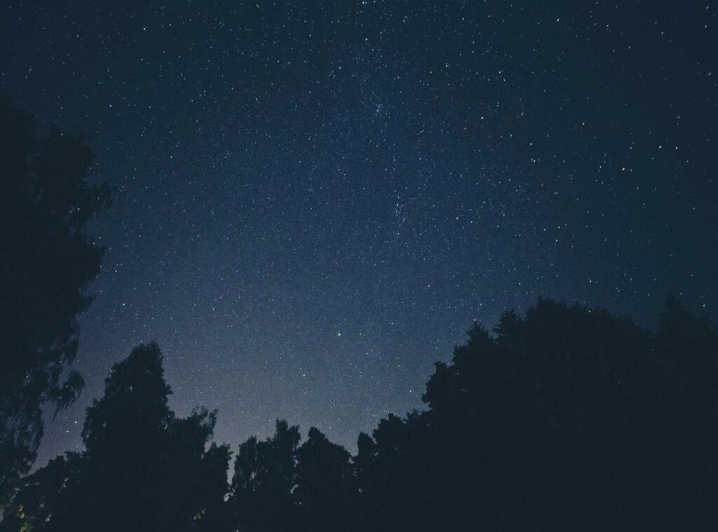 ane wa yan mama live action