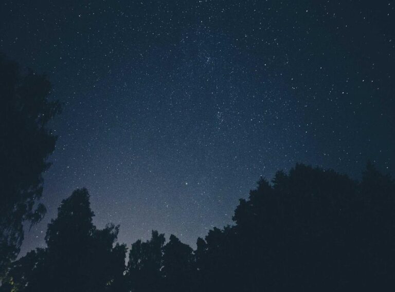 ane wa yan mama live action