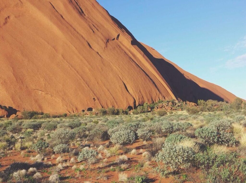 coin master free spin levvvel