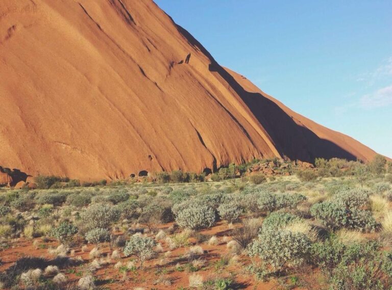 coin master free spin levvvel