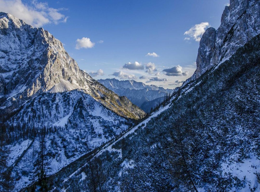 Why Celebrity Death Hoaxes Are So Common