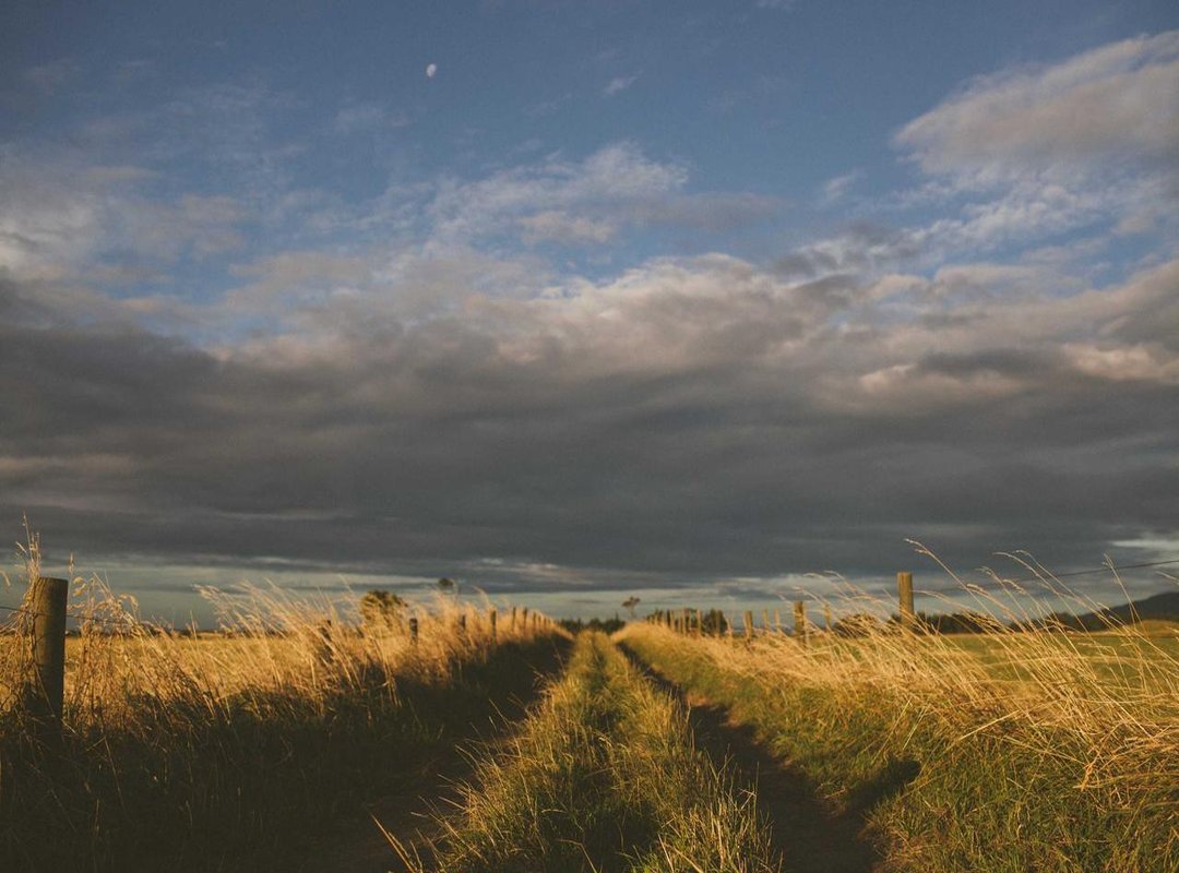 Common Issues and Quick Fixes for Diziwatch Streaming