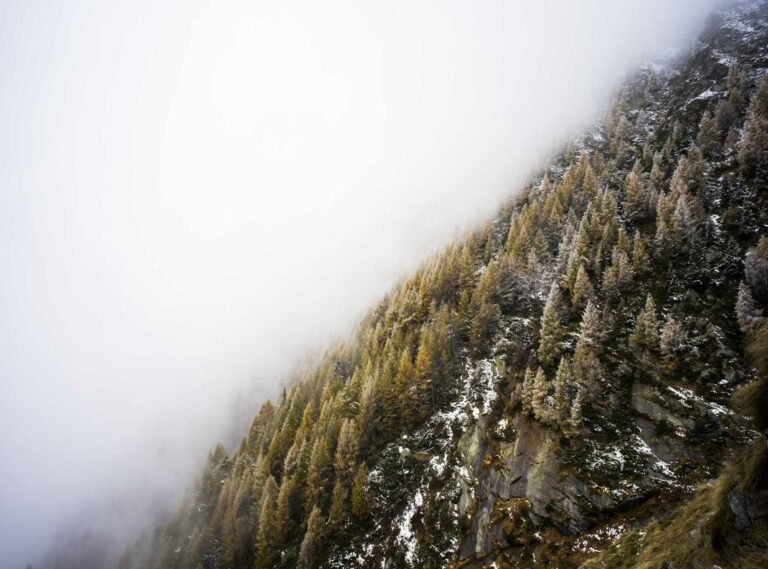 hajime no ippo animekage