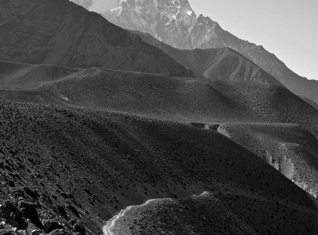 Mastering the Royal Champion: TH13's Secret Weapon