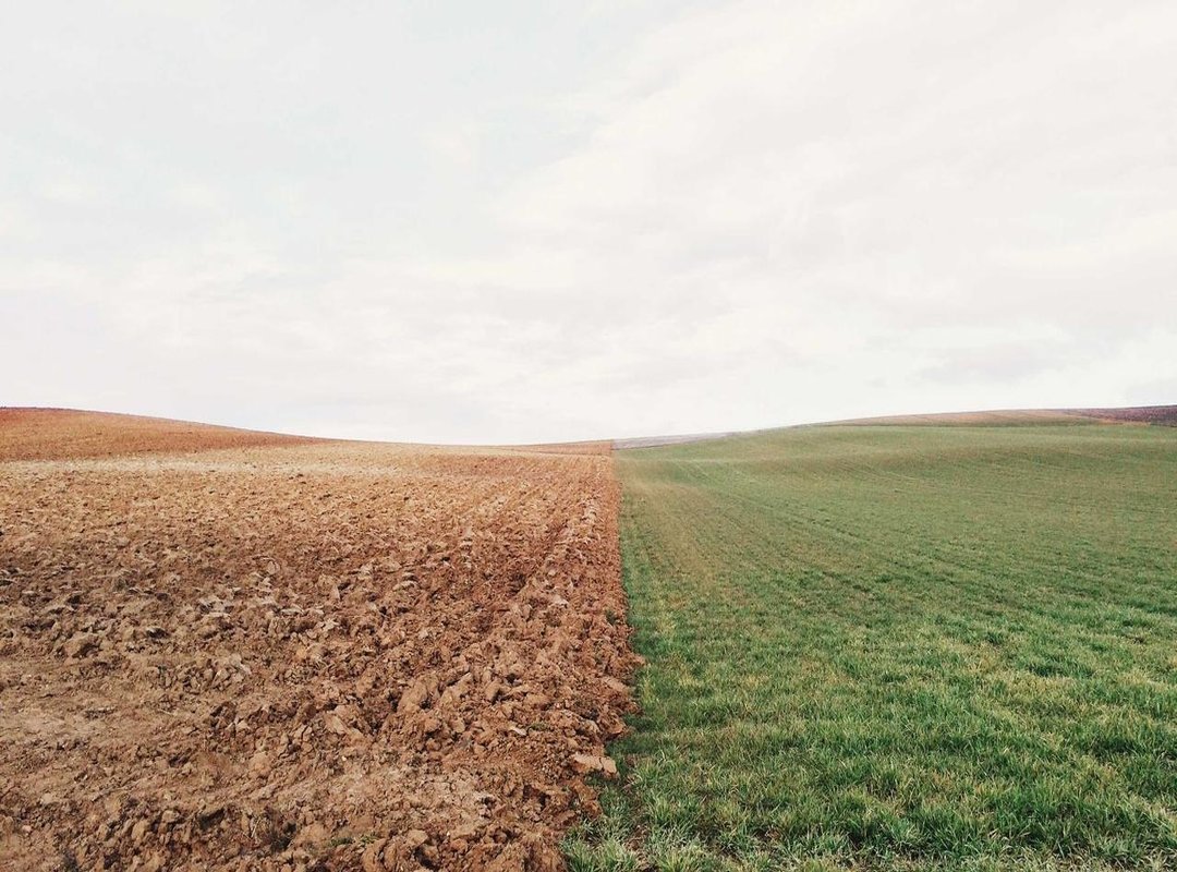 Examples and Real-Life Scenarios