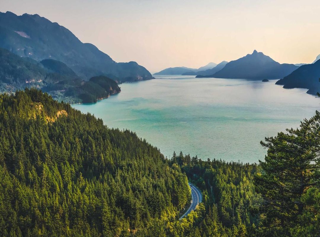 Reason #4: Emotional and Psychological Factors