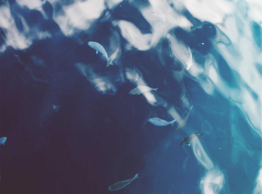 Understanding the Fine Print: Key Bonus Terms and Conditions